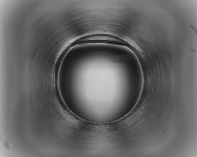 X0000091170934200708161456