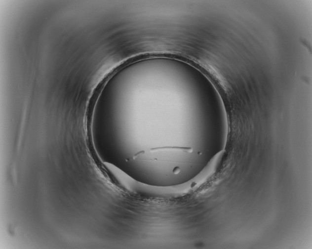 X0000091170935200708161456