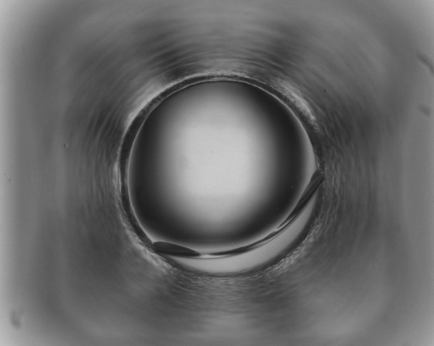 X0000091170936200708161456