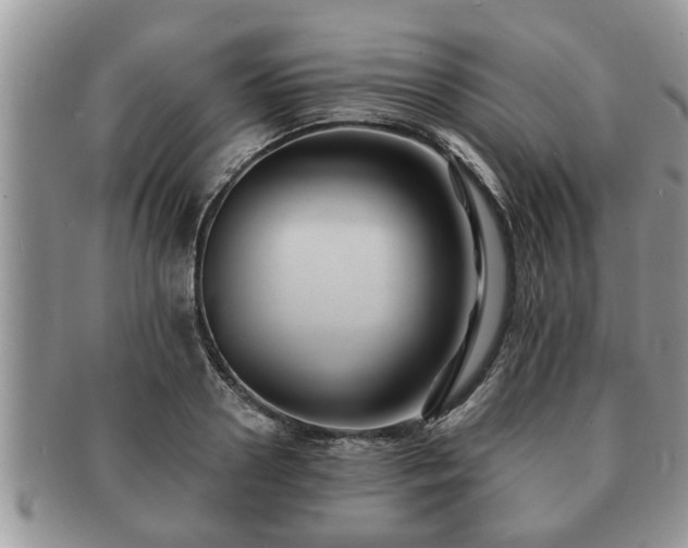 X0000091170938200708161456