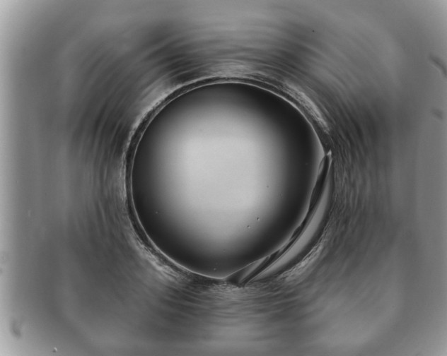 X0000091170939200708161456