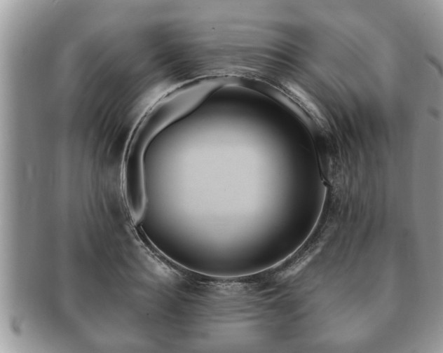 X0000091170940200708161456