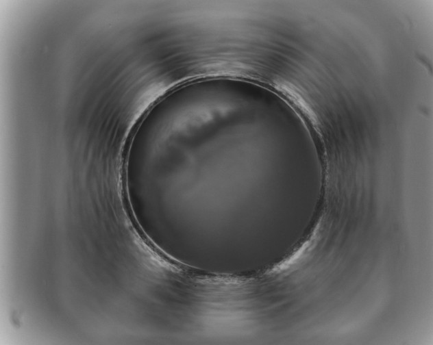 X0000091170941200708161456