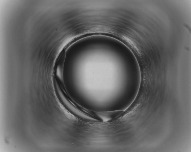 X0000091170942200708161456