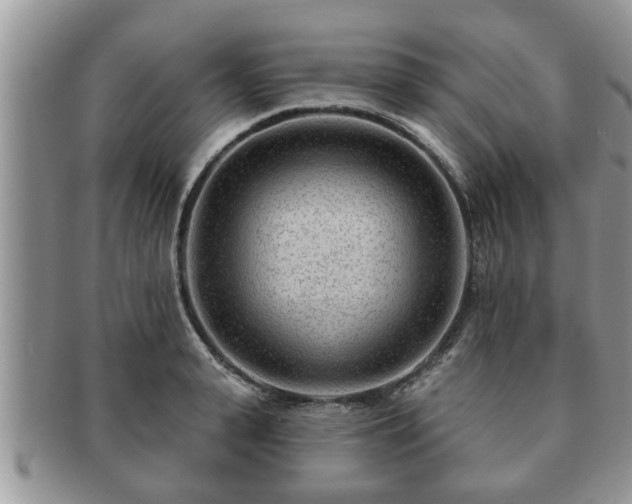 X0000091170943200708161456