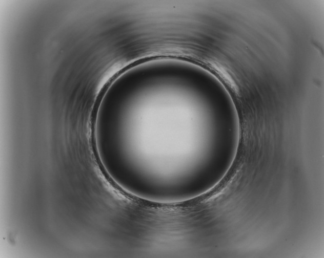 X0000091170944200708161456