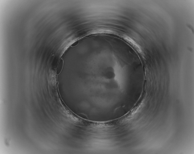 X0000091170945200708161456