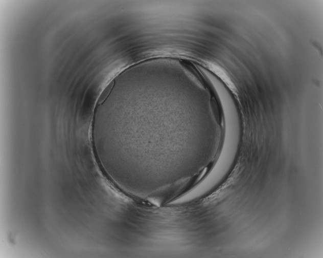 X0000091170946200708161456