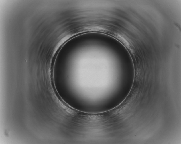 X0000091170947200708161456