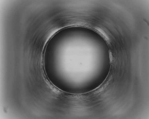 X0000091170948200708161456