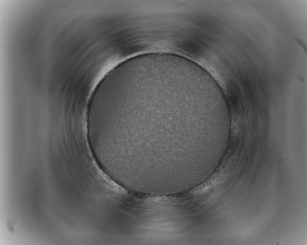 X0000091170950200708161456