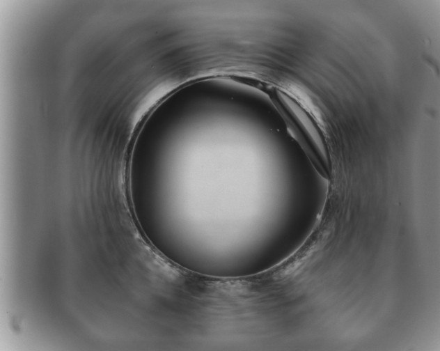 X0000091170952200708161456