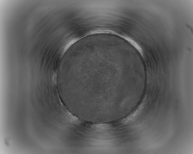 X0000091170953200708161456