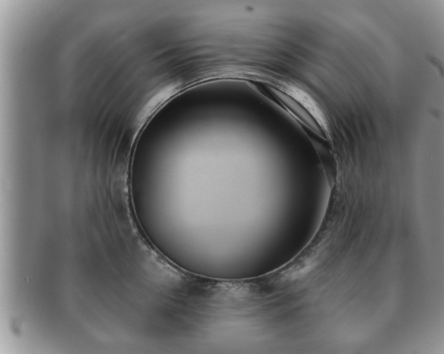 X0000091170954200708161456