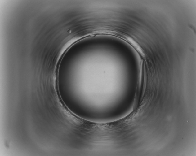 X0000091170955200708161456