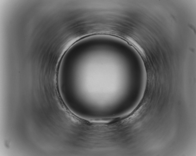 X0000091170956200708161456