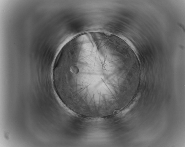X0000091170957200708161456