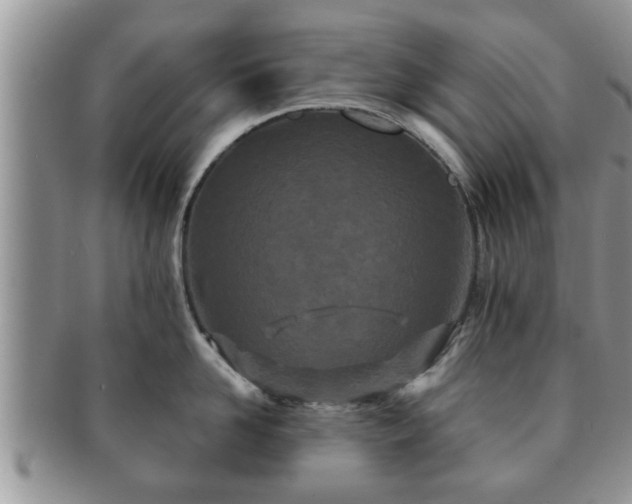 X0000091170958200708161456