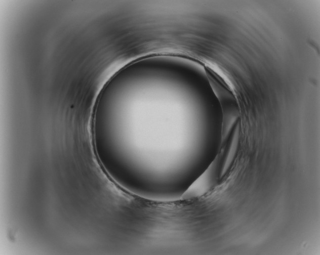 X0000091170959200708161456