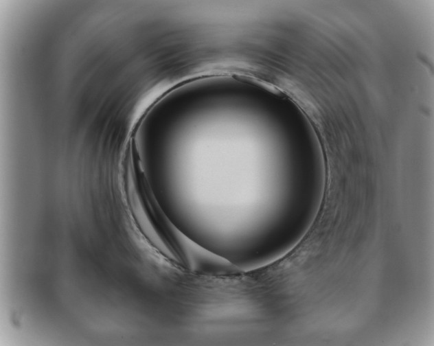 X0000091170960200708161456