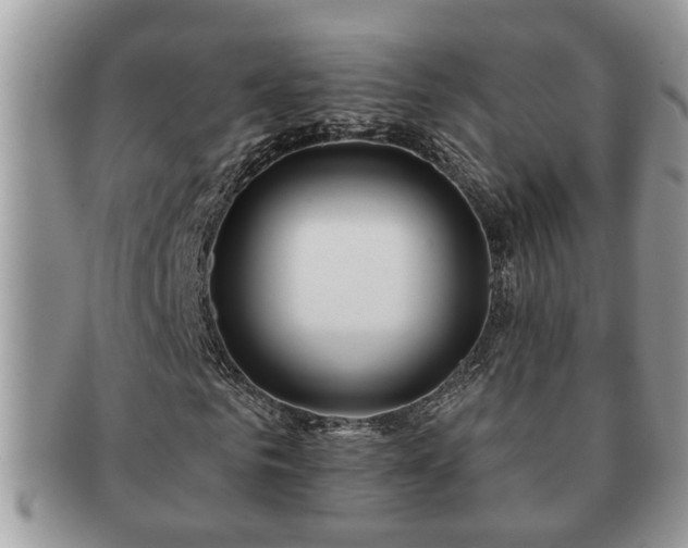 X0000091170961200708161456