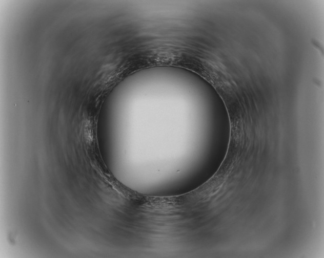 X0000091170962200708161456