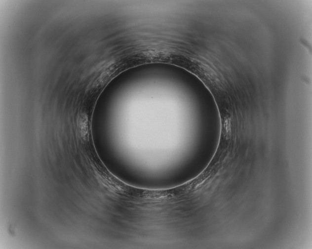 X0000091170963200708161456