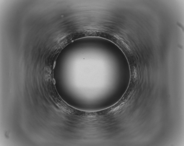 X0000091170964200708161456