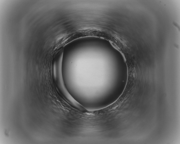 X0000091170965200708161456