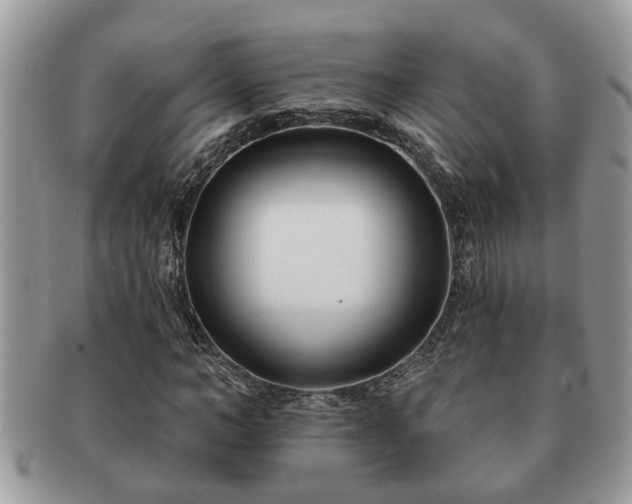 X0000091170966200708161456