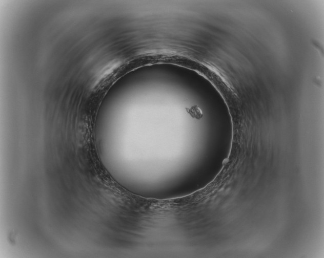 X0000091170967200708161456