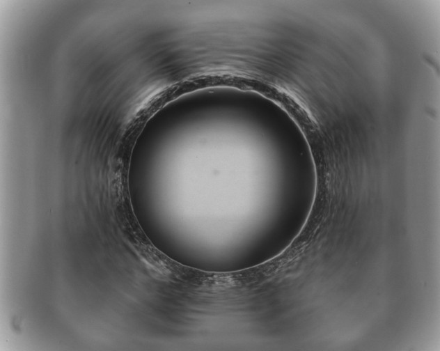 X0000091170968200708161456