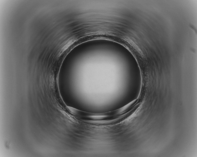 X0000091170969200708161456