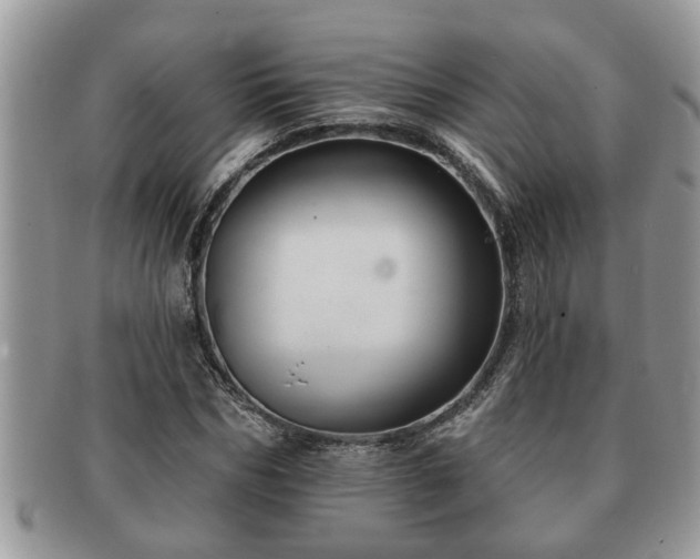 X0000091170970200708161456