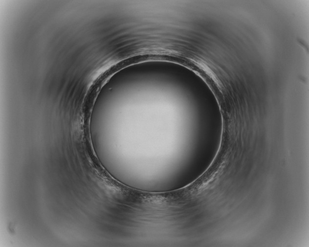 X0000091170971200708161456