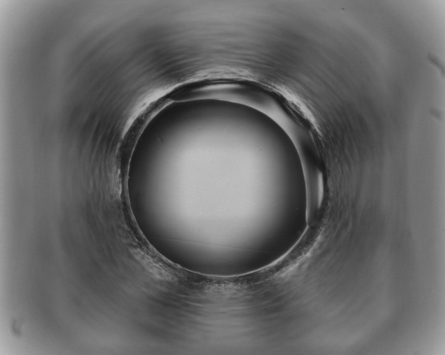 X0000091170973200708161456