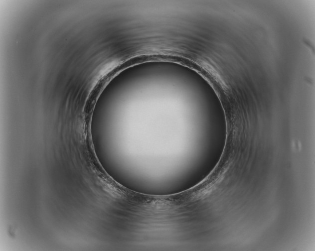 X0000091170974200708161456