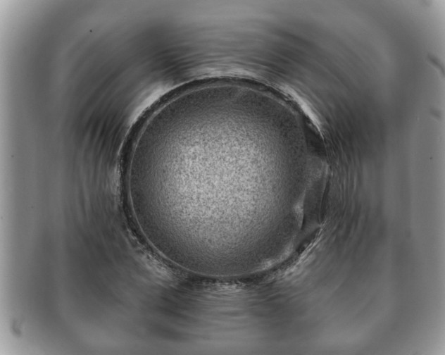 X0000091170975200708161456