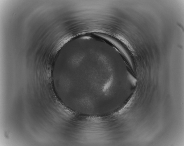 X0000091170977200708161456