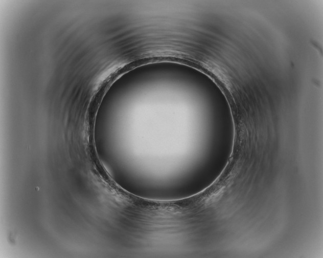 X0000091170979200708161456