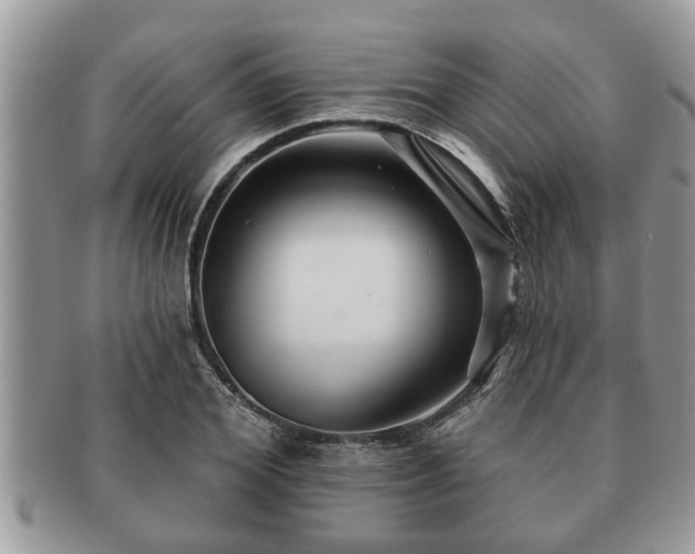 X0000091170980200708161455