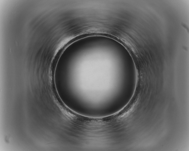 X0000091170981200708161455