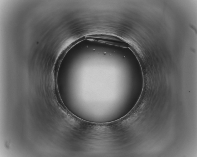 X0000091170982200708161455