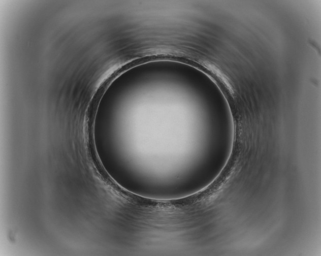 X0000091170983200708161455