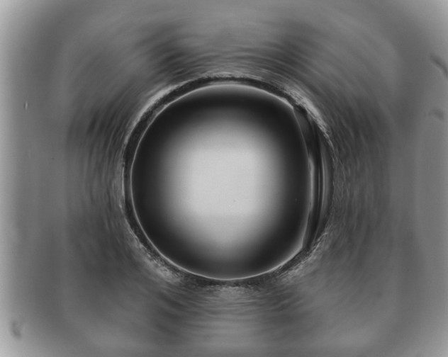 X0000091170984200708161455