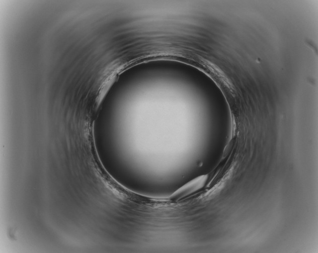 X0000091170985200708161455