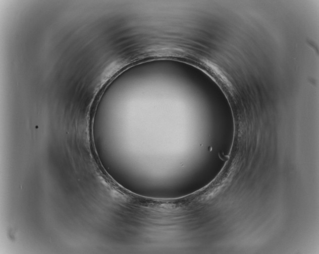 X0000091170986200708161455