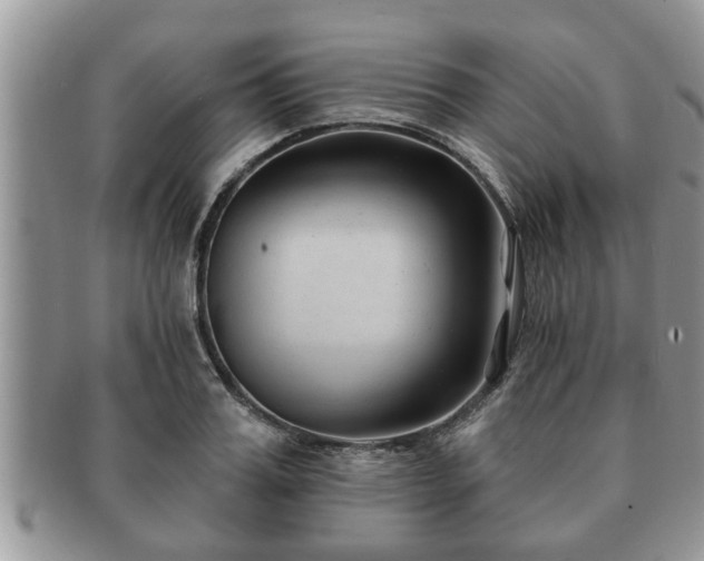 X0000091170987200708161455