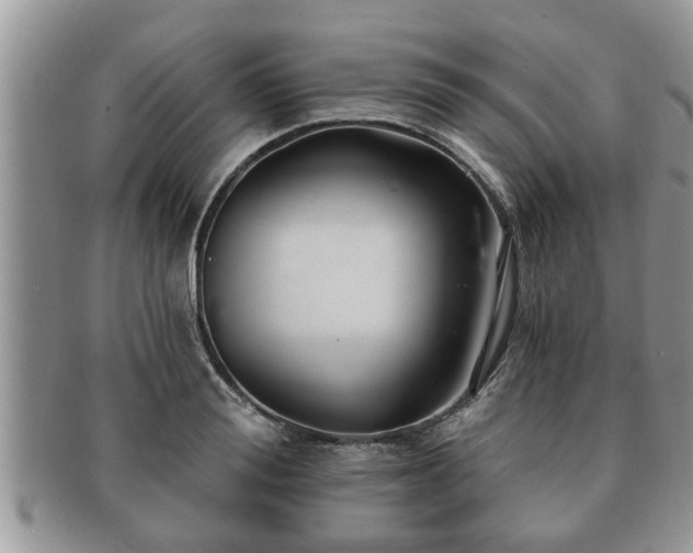 X0000091170988200708161455