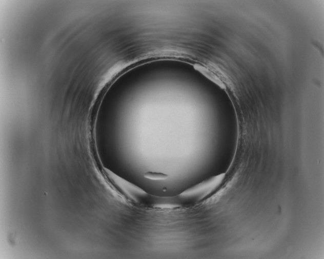 X0000091170989200708161455